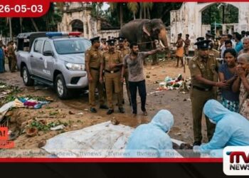කේරළයේ කෝවිල් උත්සවයකදී  ඇතෙකු කුපිත වෙයි