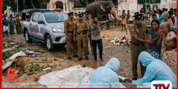 කේරළයේ කෝවිල් උත්සවයකදී  ඇතෙකු කුපිත වෙයි