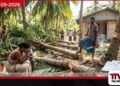දික්කසාදයට කිපුණු සැමියා බිරිඳගේ වත්තේ පොල්ගස් 7 ක් කපා බිම හෙළයි