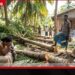 දික්කසාදයට කිපුණු සැමියා බිරිඳගේ වත්තේ පොල්ගස් 7 ක් කපා බිම හෙළයි
