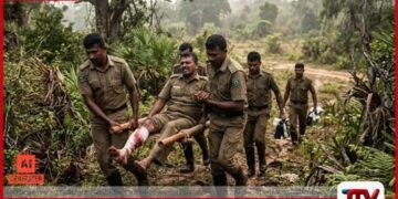 විල්පත්තුව වනජීවී නිලධාරියෙකුට  වල් ඌරු ප්‍රහාරයක් බරපතල තුවාල සහිතව  රෝහල්ගත කෙරේ