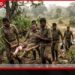 විල්පත්තුව වනජීවී නිලධාරියෙකුට  වල් ඌරු ප්‍රහාරයක් බරපතල තුවාල සහිතව  රෝහල්ගත කෙරේ