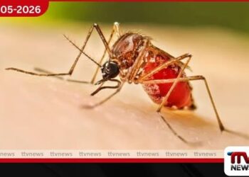 දිස්ත්‍රික්ක 3ක ඩෙංගු ව්‍යාප්තියේ  අධි අවදානමක්: