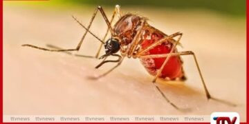 දිස්ත්‍රික්ක 3ක ඩෙංගු ව්‍යාප්තියේ  අධි අවදානමක්: