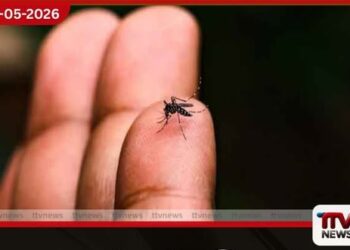 2026 වසරේ මේ දක්වා  ඩෙංගු රෝගීන්  25,000 ඉක්මවයි