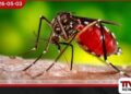 දිස්ත්‍රික්ක 7ක ජනතාවට  සෞඛ්‍ය අමාත්‍යාංශයෙන්  හදිසි අනතුරු ඇඟවීමක්  නිහඬ මාරයා ඔබේ නිවස අසලටම ඇවිත්