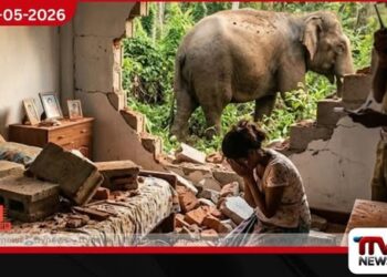 වන අලි ප්‍රහාරයකින්  බිත්තියක් කඩා වැටී  5 හැවිරිදි දැරියක් මරුට