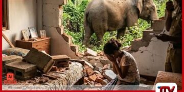 වන අලි ප්‍රහාරයකින්  බිත්තියක් කඩා වැටී  5 හැවිරිදි දැරියක් මරුට