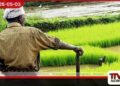 දිය කරලා බොන්න නෙමෙයි