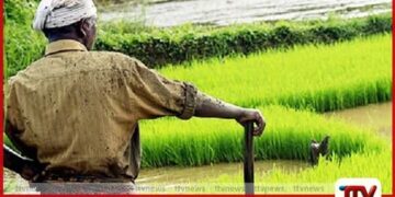 දිය කරලා බොන්න නෙමෙයි