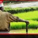 දිය කරලා බොන්න නෙමෙයි