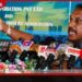 පෞද්ගලික බස් කර්මාන්තයේ  අර්බුදයට විසඳුම  විදුලි බස් රථ