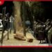 කුඩා දියණියකගේ මරණයෙන් පසු  ඕස්ට්‍රේලියාවේ ඇති වූ  උණුසුම් තත්ත්වය  47 හැවිරිදි පුද්ගලයෙකුට චෝදනා