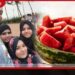 මුම්බායි පවුලේ ඛේදවාචකය කොමඩු කතාව අසත්‍ය බව හෙළිවේ  මරණය පිටුපස  සැඟවුණු අභිරහසක්?