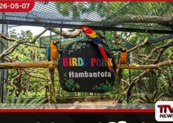 කුරුළු උයනේ හිමිකරු  නිදහස් කළ බවට පළ වූ  පුවත් අසත්‍යයි