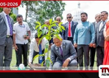 ශ්‍රී ලංකා-මාලදිවයින්  සබඳතා සනිටුහන් කරමින්  මාලදිවයින් ජනපති  පැළයක් රෝපණය කරයි