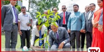 ශ්‍රී ලංකා-මාලදිවයින්  සබඳතා සනිටුහන් කරමින්  මාලදිවයින් ජනපති  පැළයක් රෝපණය කරයි