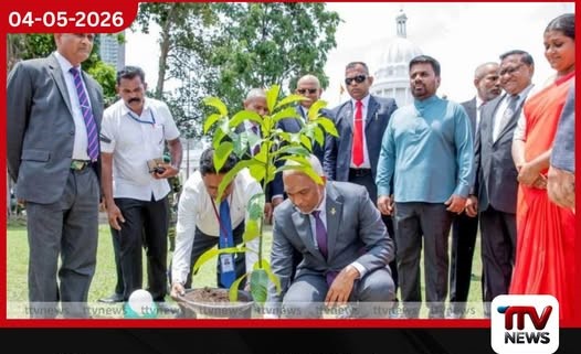 ශ්‍රී ලංකා-මාලදිවයින්  සබඳතා සනිටුහන් කරමින්  මාලදිවයින් ජනපති  පැළයක් රෝපණය කරයි
