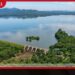 උඩවලව ජලාශයෙන් රුපියල් කෝටියක වාර්තාගත මත්ස්ය අස්වැන්නක්