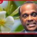 ශ්‍රී ලංකාවේ මලල ක්‍රීඩා ක්ෂේත්‍රයේ  අසහාය සේවකයෙකු වූ  ප්‍රේමා පින්නවල දැයෙන් සමුගනී
