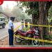 වීරඹුගෙදරදී යතුරුපැදියක්  පාලනය කරගත නොහැකිව  ගසක ගැටීමෙන්  55 හැවිරිදි පුද්ගලයෙකු මරුට