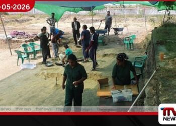 චෙම්මනි සමූහ මිනීවළෙන්  මිනිස් සිරුරු 245කට අදාළ  අස්ථි කොටස් හඳුනාගනී