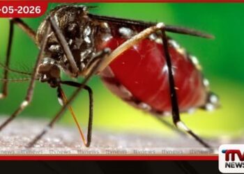 ඩෙංගු අධි අවදානම් කලාපවල  විශේෂ මදුරු මර්දන  වැඩසටහනක් ඇරඹේ