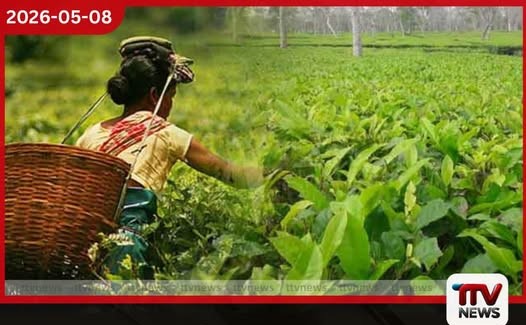 ජාතික නැවුම් තේ මංගල්යය 2026 ජාතික උත්සවය මහනුවර ශ්රී දළදා මාළිගා පරිශ්රයේදී