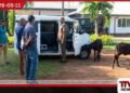 කුලී කාර්වලින් හරක් පැටවුන් උස්සා  එළු මස් කියා විකුණූ  පාසල් සිසුන් පිරිසක්  අම්බලන්ගොඩදී කොටු වෙයි