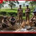 බලපත්‍ර නොමැතිව  මැණික් ගැරූ තිදෙනෙකු  මස්කෙළියේදී අත්අඩංගුවට