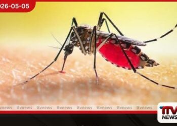 ඩෙංගු මරණ 12ක්  වාර්තා වීමත් සමඟ  අධි අවදානම් කලාප ඉලක්ක කර  හෙට සිට විශේෂ මර්දන වැඩසටහනක්