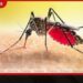 ඩෙංගු මරණ 12ක්  වාර්තා වීමත් සමඟ  අධි අවදානම් කලාප ඉලක්ක කර  හෙට සිට විශේෂ මර්දන වැඩසටහනක්