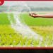 එළඹෙන මහ කන්නය වෙනුවෙන්  යූරියා මෙට්‍රික් ටොන් 20,000ක්  මිලදී ගැනීමට