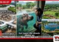 හිපෝ රැලකගේ ජීවිත බේරාගන්න  අම්බානිගේ පුතා මිලියන ගණන් වියදම් කරයි  පබ්ලෝ එස්කොබාර්ගේ ‘හිසරදය’  අනන්ත් අම්බානි ආදරයෙන් බාරගනී