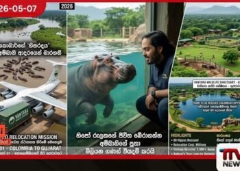 හිපෝ රැලකගේ ජීවිත බේරාගන්න  අම්බානිගේ පුතා මිලියන ගණන් වියදම් කරයි  පබ්ලෝ එස්කොබාර්ගේ ‘හිසරදය’  අනන්ත් අම්බානි ආදරයෙන් බාරගනී