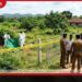 ඇහැලියගොඩ  ඉඩමක තිබී  කාන්තා මළ සිරුරක් හමුවේ  සැකකරුවන් සොයා මෙහෙයුම්