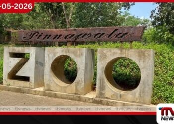පින්නවල ජාතික එළිමහන් සත්ව උද්‍යානයේ  11 වන සංවත්සරය නිමිත්තෙන්  සතුන්ට පිරිත් සජ්ඣායනා කර  ආශිර්වාද කෙරේ