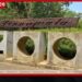 පින්නවල ජාතික එළිමහන් සත්ව උද්‍යානයේ  11 වන සංවත්සරය නිමිත්තෙන්  සතුන්ට පිරිත් සජ්ඣායනා කර  ආශිර්වාද කෙරේ