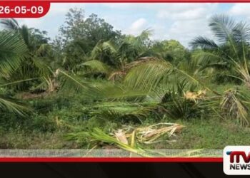 එන්නුංගොඩ ගම්මානය  වන අලි රංචුවකගේ  දැඩි ග්‍රහණයට පත්වෙයි