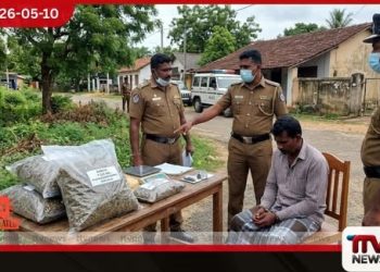 පුදුකුඩිඉරිප්පුවේදී  ගංජා කිලෝ 7ක් සමඟ  සැකකරුවෙකු අත්අඩංගුවට