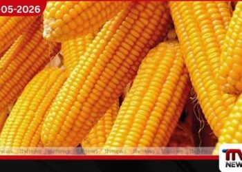 ආනයනික බඩඉරිඟු සඳහා වන  විශේෂ වෙළෙඳ භාණ්ඩ බද්ද ඉහළට