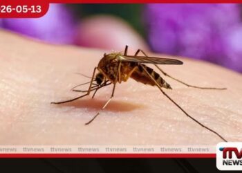 පසුගිය වසරේ  මෙරටින් බරවා රෝගීන්  68ක් වාර්තා වෙයි