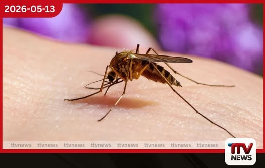 පසුගිය වසරේ මෙරටින් බරවා රෝගීන් 68ක් වාර්තා වෙයි