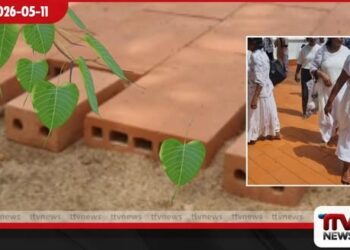 ජය ශ්‍රී මහා බෝධීය අවට භුමියේ අතුරා ඇති ගල් බෝධිඔන් වහන්සේට හානියක්: