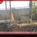 ප්‍රමිතියෙන් තොර යකඩ කම්බි  නිපදවූ හෝමාගම කර්මාන්තශාලාවකට  සීල් තබයි