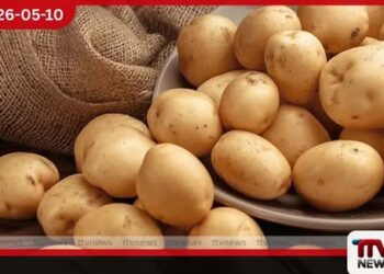 දේශීය අර්තාපල් අස්වැන්න  රුපියල් 220 ක සහතික මිලකට  මිලදී ගැනීම අද සිට ඇරඹේ
