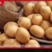දේශීය අර්තාපල් අස්වැන්න  රුපියල් 220 ක සහතික මිලකට  මිලදී ගැනීම අද සිට ඇරඹේ