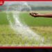 පොහොර බෙදාහැරීමට  පෞද්ගලික අංශයටත් අවසර: