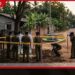 අම්බලන්තොට තිදරු පියාගේ හිස කඳින් වෙන් කළ බියකරු පලිගැනීම