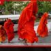 මත්ද්රව්ය ජාවාරමට සම්බන්ධ චීවරධාරීන් 23 දෙනා යළි රක්ෂිත බන්ධනාගාරයට